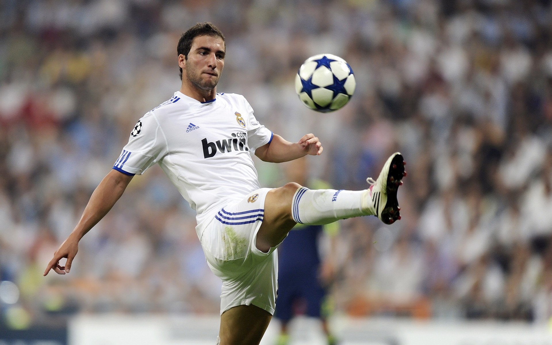 世界拳击职业联赛上海站 中国轻重量级名将点数优势击败俄罗斯悍将